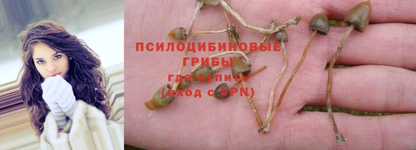 винт Саяногорск